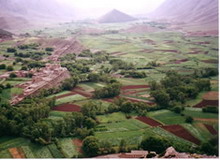 chof al manadir de taza al 3ziza